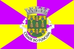 Flagge Funchal